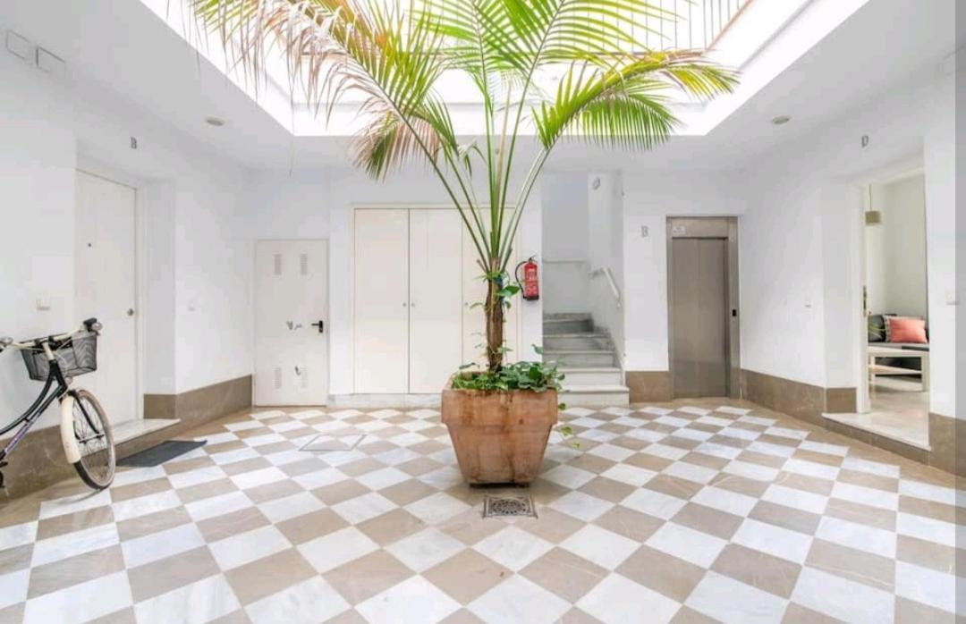 Casa De La Alameda Apartment Seville Exterior photo
